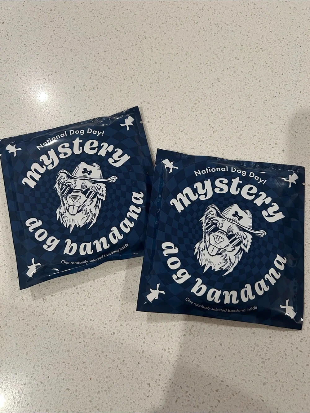 Dutch Bros Dog Bandanas (2)